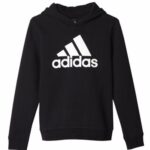 Adidas Logo Sweatshirt Youth Boys Hoodie