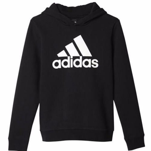 Adidas Logo Sweatshirt Youth Boys Hoodie